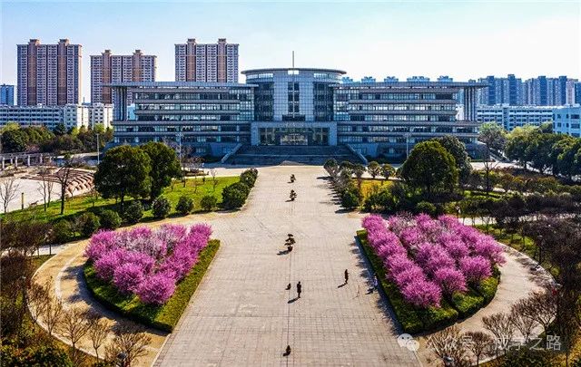 常州信息生活技能 2024年高考录取分数