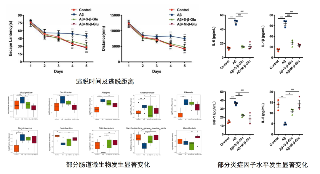 导致亚健康状态的原因_亚健康状态的起因包含_造成亚健康状况的主要原因有