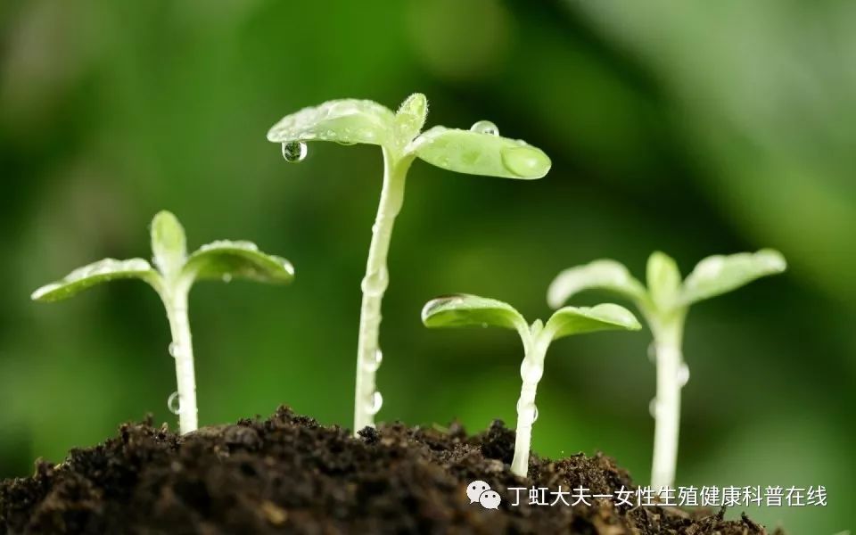 丁医生成功治愈高血脂患者并助其怀孕：药物