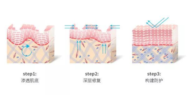 亚健康状态的起因包含_导致亚健康状态的原因_造成亚健康状况的主要原因有