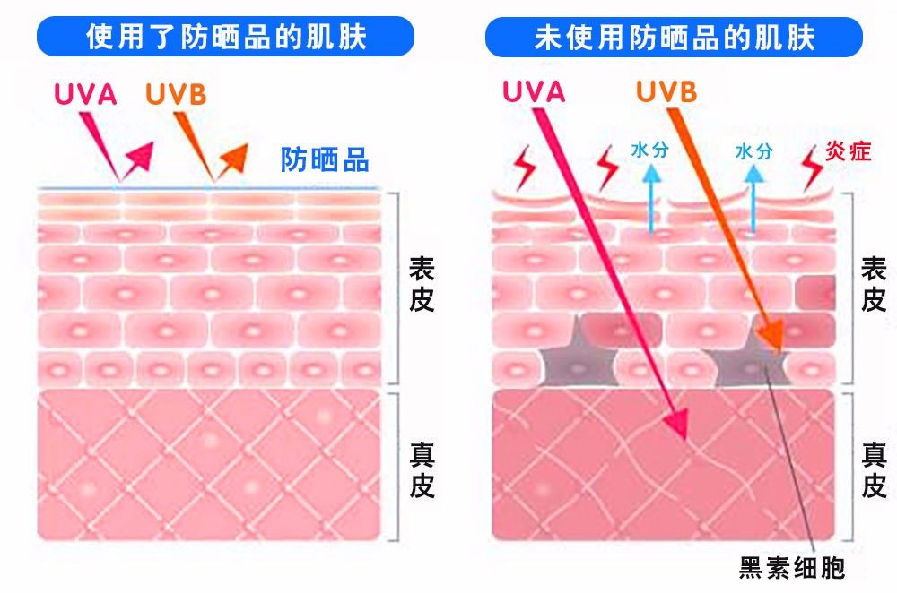 导致亚健康状态的原因_造成亚健康状况的主要原因有_亚健康状态的起因包含