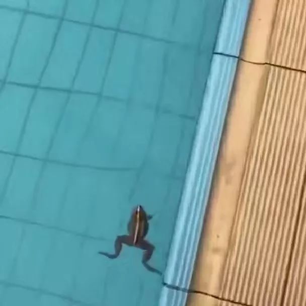 户外游泳防晒_游泳如何做好防晒_游泳防晒小技巧有哪些男生