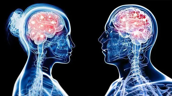 运动女星_运动女星人设_运动名星有哪些