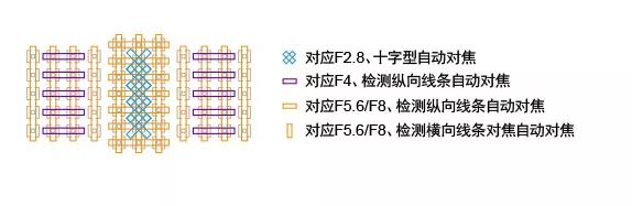 佳能与尼康对焦技巧大比拼：顶级相机性能对